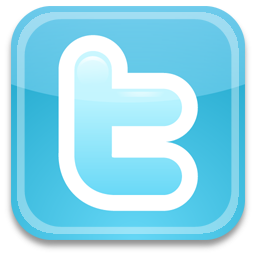twitter link and logo